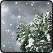 Winter Snowfall Free Wallpaper