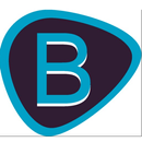 BGS VPN APK