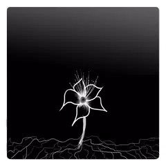 The Abyss