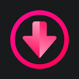 IG Downloader & Story Saver