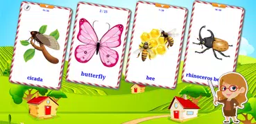 昆虫学習カード : 英語学習
