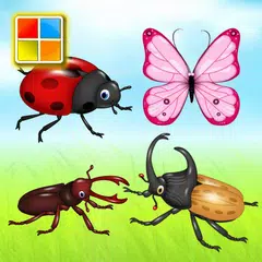 昆虫学習カード : 英語学習 アプリダウンロード