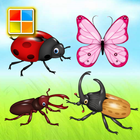 Insects Cards آئیکن