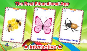 Insects Cards Affiche