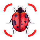 Insect identifier - identity APK