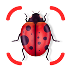 Insect identifier - identity আইকন