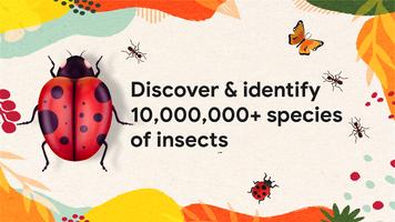 Insect identifier - identity Affiche