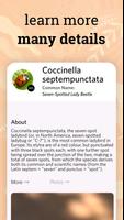 برنامه‌نما Insect identifier - identity عکس از صفحه