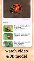 برنامه‌نما Insect identifier - identity عکس از صفحه
