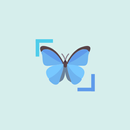 InsectID - Identify Insects APK