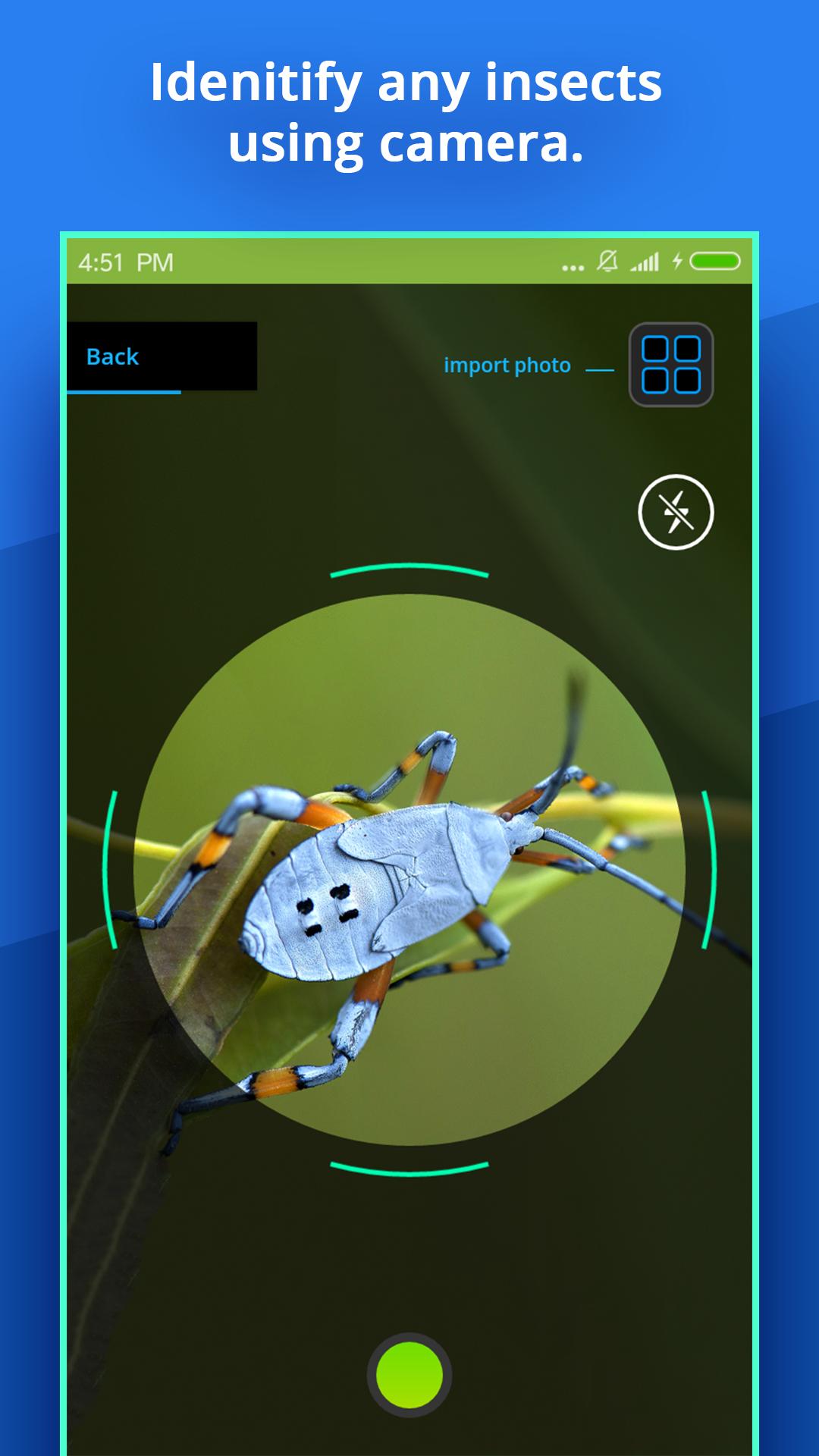Insect Identifier Latest Version 1 5 for Android Insect Identifier Latest Version 1 5 for Android