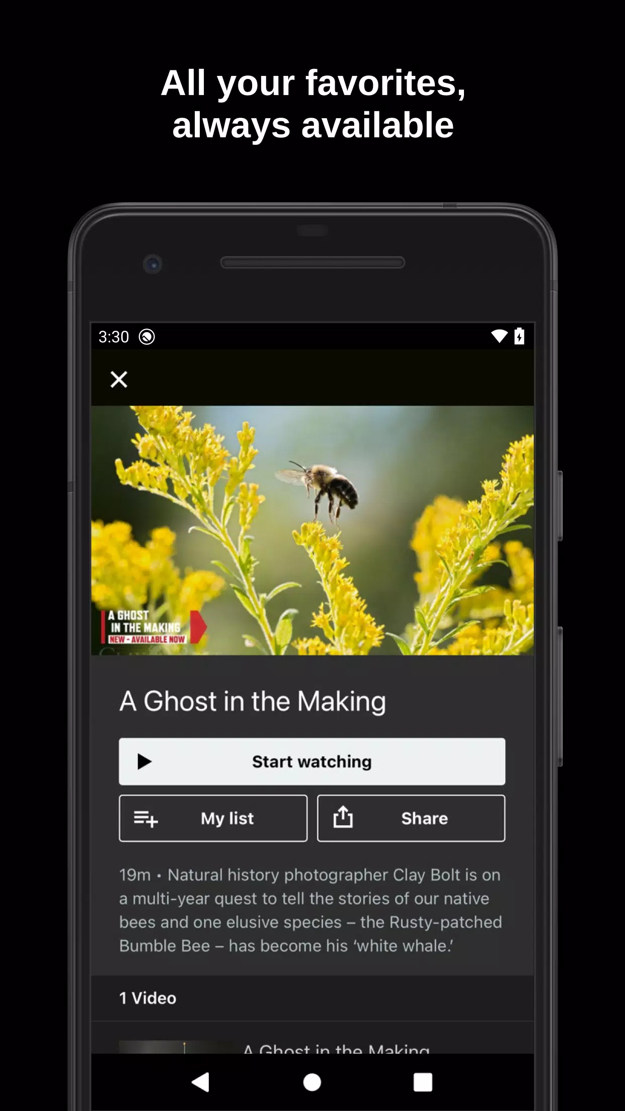 INSIGHT TV APK for Android Download