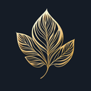 Minimal Launcher APK