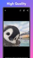 Insvid Video, Story Downloader captura de pantalla 2