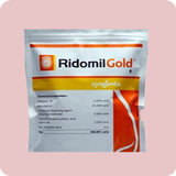 Ridomi Gold 图标