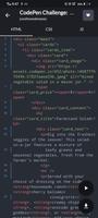 CodePen: Pens & Source Codes screenshot 3