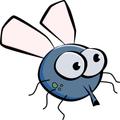 Fly Top