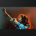 REGGAE ONZ