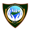 MSSI Collect icon