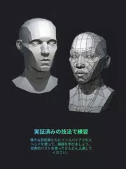 Head Model Studio - アートツール アプリダウンロード