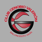 Basket Guía icon