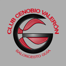 Basket Guía APK