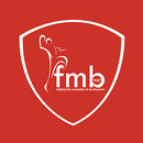 Federación Madrileña Balonmano APK