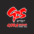 ”Gora Bilbao FS