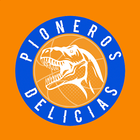 Pioneros de Delicias icon