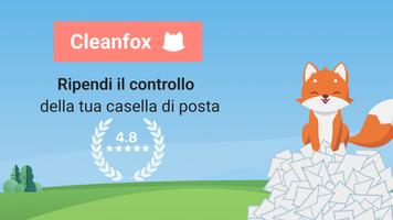 Poster Cleanfox