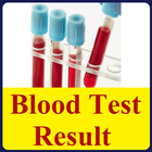 Blood Test Result icône