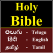 Holy Bible in (Telugu + English + Tamil + Hindi)