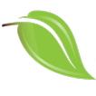 Aesthetics Medical Spa icon