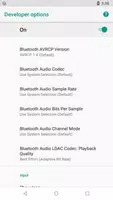 Developer Options تصوير الشاشة 5