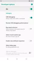 Developer Options الملصق