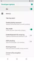 Developer Options تصوير الشاشة 1