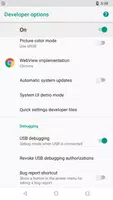 Developer Options تصوير الشاشة 2