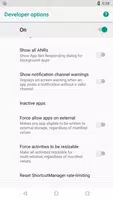 Developer Options تصوير الشاشة 3