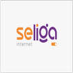 Seliga Box
