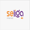 Seliga Box