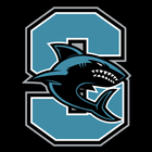 Santiago icon