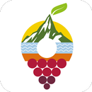 Todo Südtirol APK