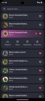 Bulbul bird sounds screenshot 1