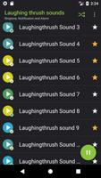 Laughing thrush sounds تصوير الشاشة 1