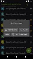 Laughing thrush sounds تصوير الشاشة 2