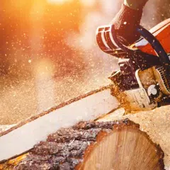 Chainsaw sounds XAPK download