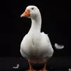 Goose Sounds APK