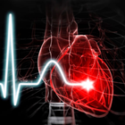 Heartbeat Sounds 图标