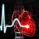 Heartbeat Sounds icon