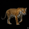 Jaguar Sounds APK